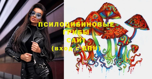 2c-b Покачи
