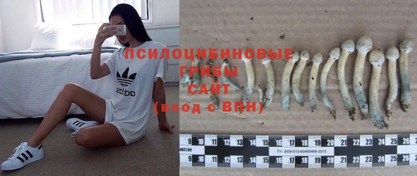 2c-b Покачи